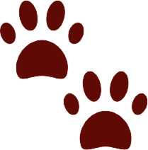Pfoten